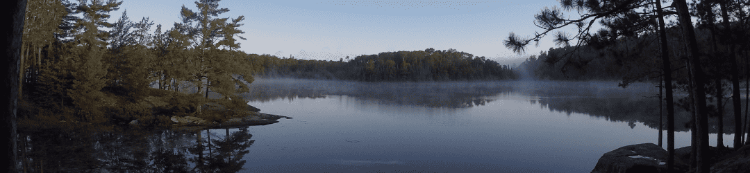 A serene, mist-laden lake at dawn, surrounded by a tranquil forest.